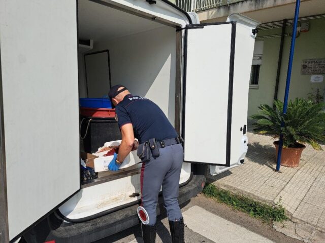 polizia pesce sequestrato