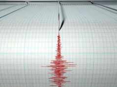 Un terremoto di magnitudo 3.8 localizzato nel Tirreno Meridionale