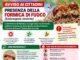 Allarme Formica di Fuoco a Piraino ed in tutti i Nebrodi